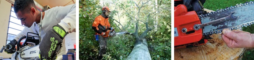 maintaining chainsaw course